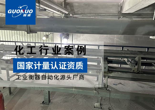青海金荣旭贸易/察尔汉盐湖镁业皮带秤项目