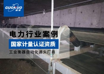 国祯美洁生物质热电皮带秤案例