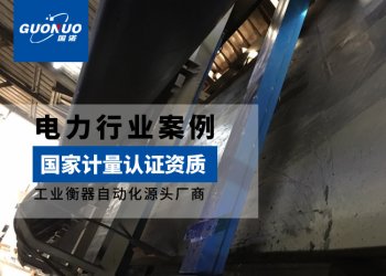 国信生物质发电项目皮带秤案例
